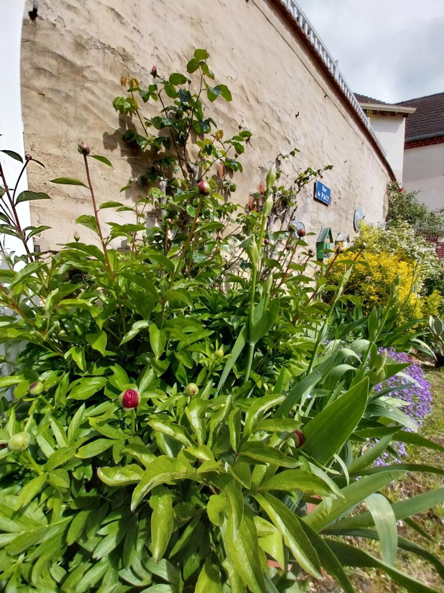 La Petite Maison Gasny Exterior photo